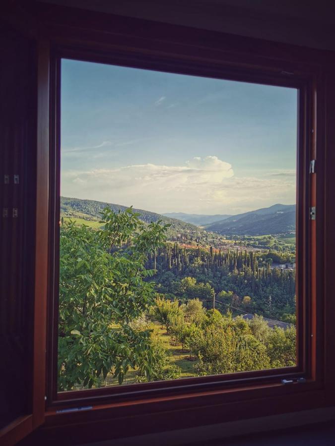 L'Oasi Di Cice Villa Rufina Bagian luar foto