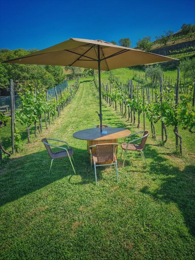 L'Oasi Di Cice Villa Rufina Bagian luar foto